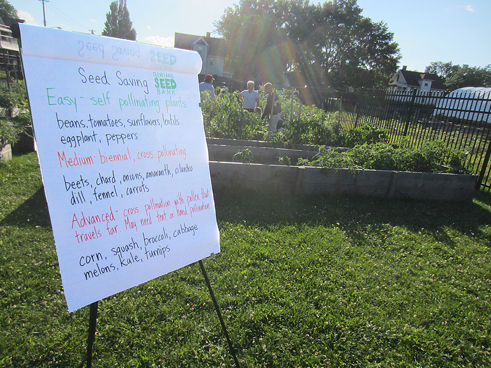 Cleveland Seed Bank - outdoor class