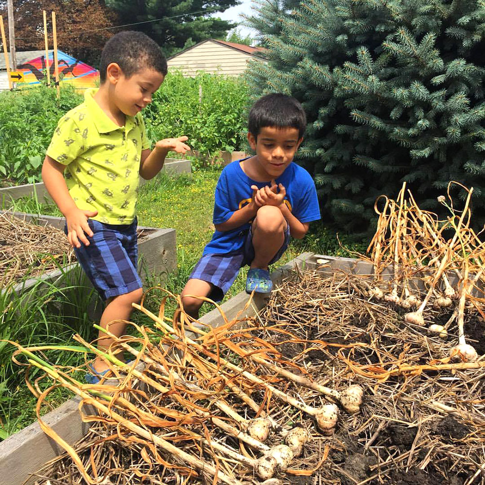 Cleveland Roots - urban agriculture and educational programs